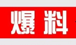 有料爆料站最新爆料,有料爆料站最新爆料，带你一探究竟！